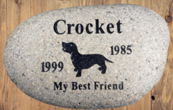 Crocket