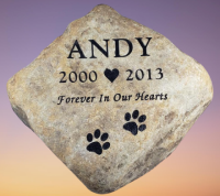 Andy