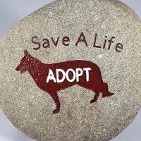 Save a Life-Adopt