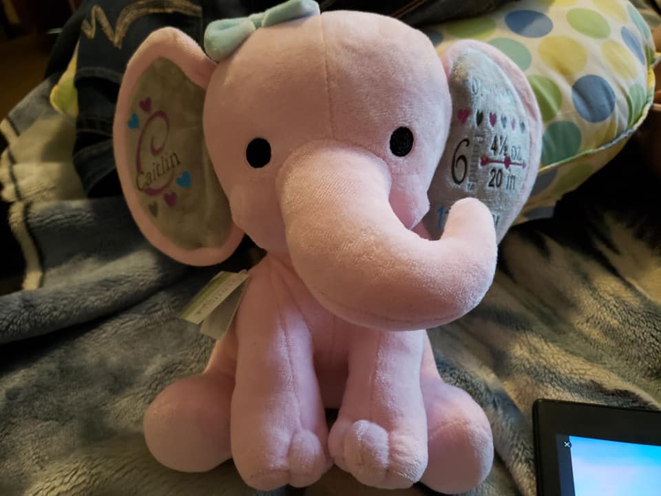 Elephant