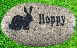 Hoppy